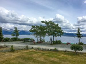 Campsites auf dem Cottonwood Park